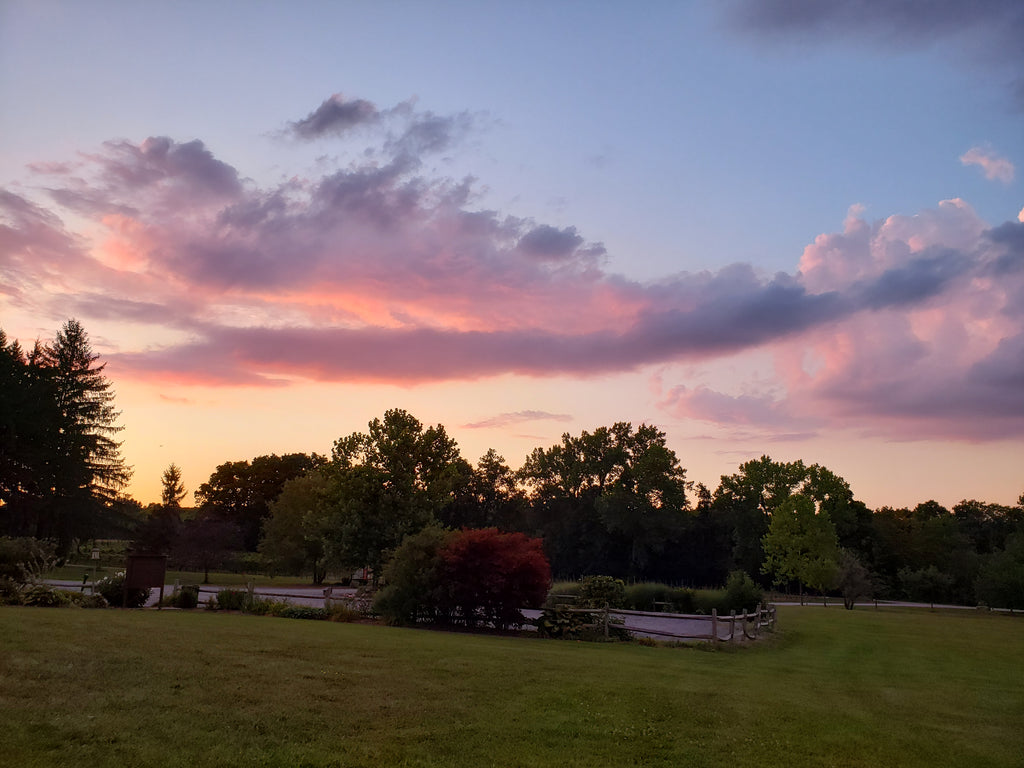 Sunset in the Finger Lakes Wine Region NY