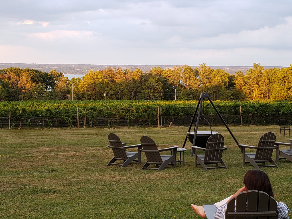 Buttonwood Winery in the Finger Lakes 