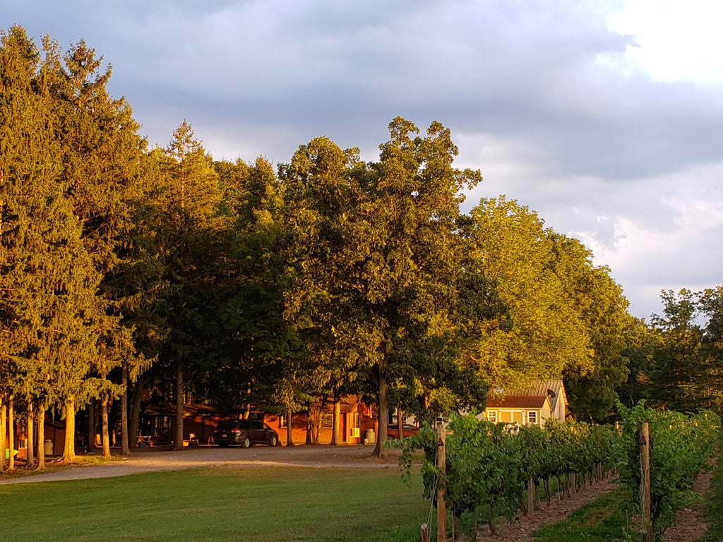 Cottages at Buttonwood Grove Winery in the Finger Lakes