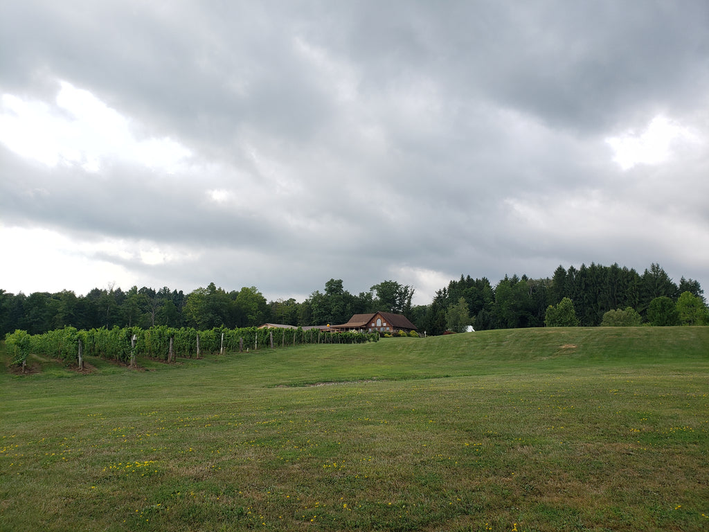 Buttonwood Winery in the Finger Lakes