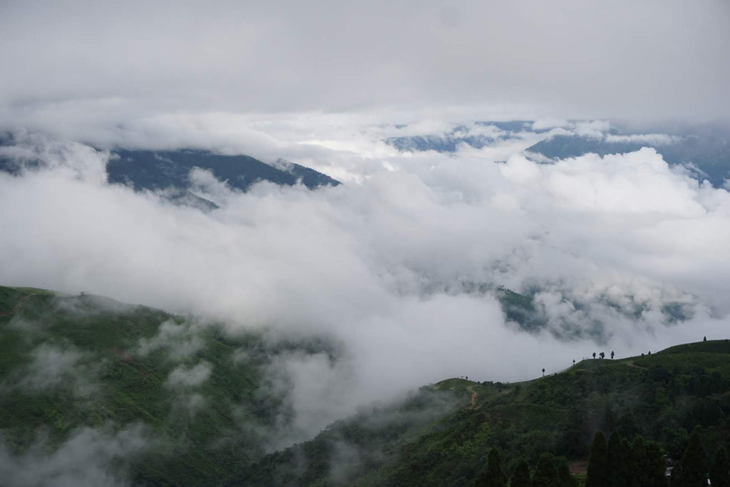Overlooking Happy Valley Darjeeling