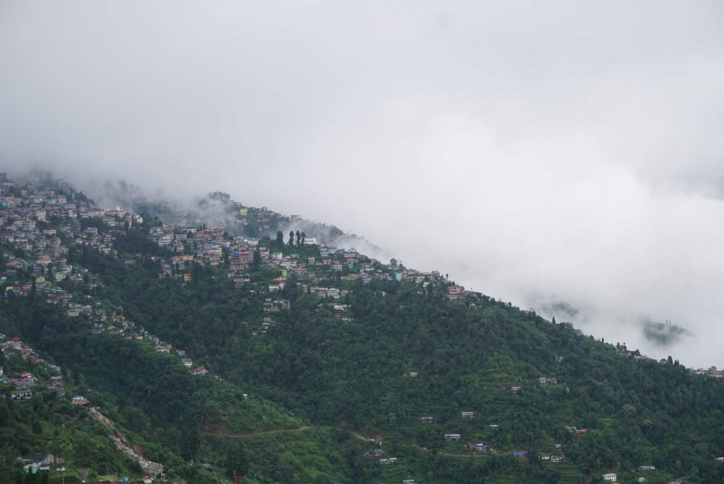 View of Darjeeling town 
