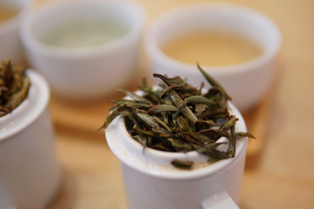 Himalayan White Tea - Jun Chiyabari Nepal 