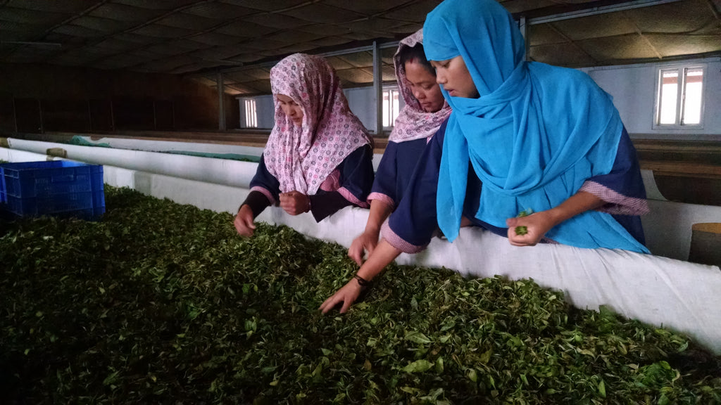 Jun Chiyabari tea estate