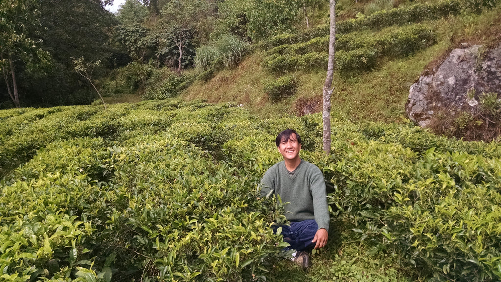 Niraj Lama at Jun Chiyabari tea farm 