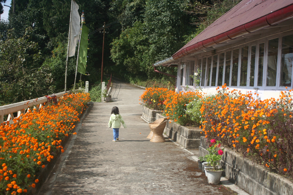 Daughter Tara in Darjeeling India