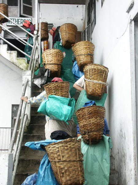 People carrying baskets up a staircase 