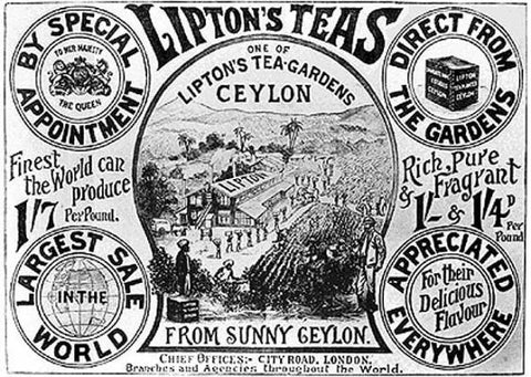 Advertisement for Lipton Tea