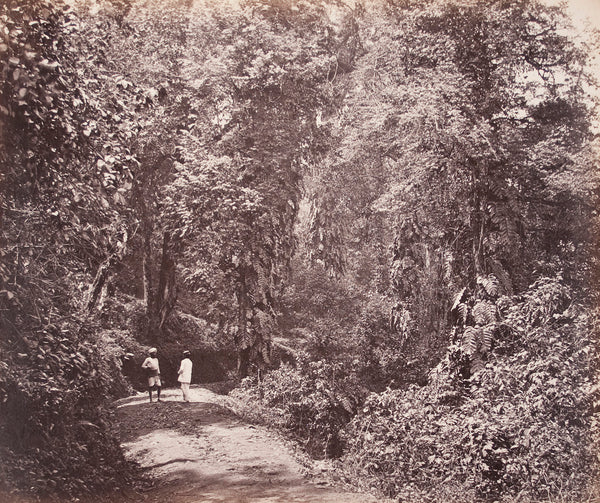 Tukvar Road. 1869. Image by Samuel E Bourne.