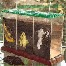 See-through Compost Container