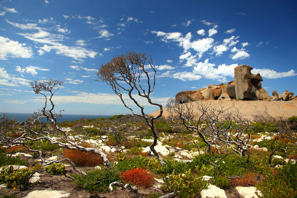 Kangaroo Island