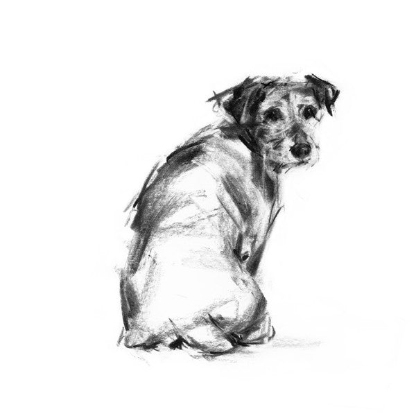 Looking Back Terrier Sketch Print – PaintMyDog | Dog Art | Contemporary