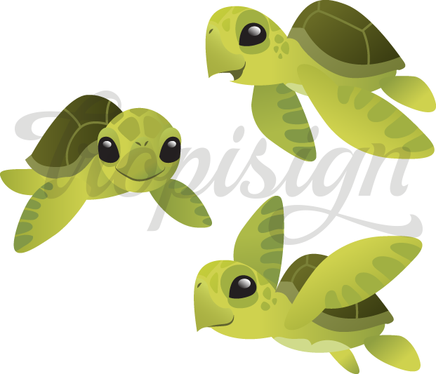 clipart baby sea turtles - photo #32