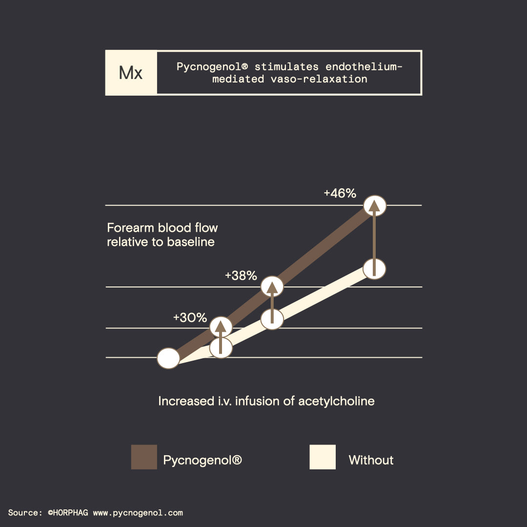 Pycnogenol stimulates Nitric Oxide production and blood flow Modex