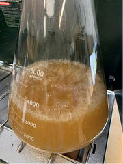 Boiling wort for yeast starter