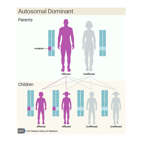 cbd-22q112ds-digeorge-syndrome-autosomal-dominant