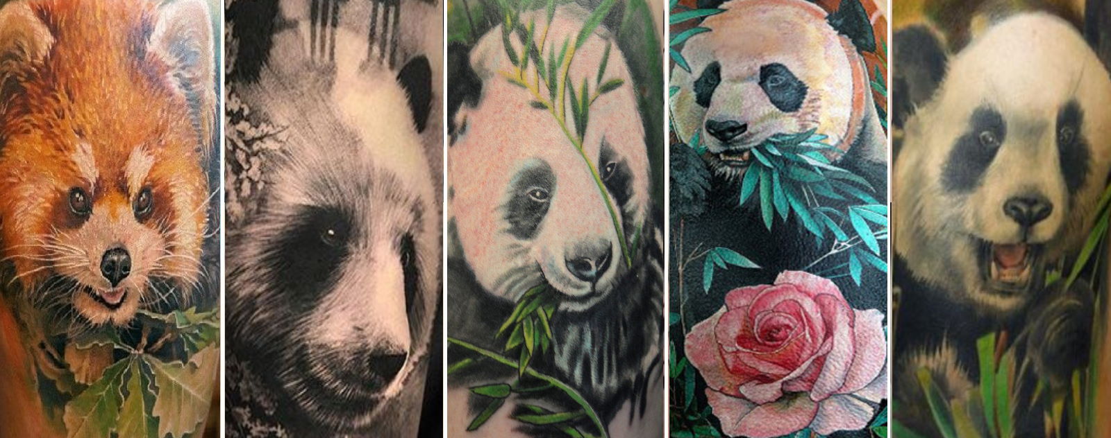 Panda Tatouage Réaliste