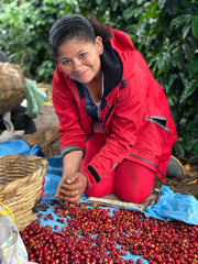 Travailleuse de la Finca Idealista triant une seconde fois les cerises de café