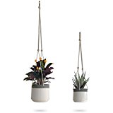 Hanging planter