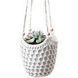 Hanging planter