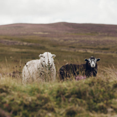 Cumbria Lake District - Oubas knitwear