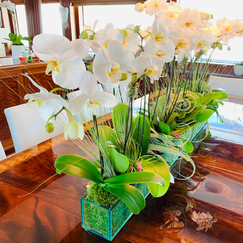 Yacht outfitting|Yacht styling|Yacht florals|Orchids for yacht|outfitting a yacht