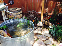 Backyard ideas for repurposed whiskey barrels: garden planter and water capture