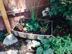 Repurposed whiskey barrel as cradle-style garden box & planter