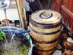 Repurposed whiskey barrels used as pond pump cover and water capture
