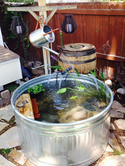 Repurposed whiskey barrels used in backyard turtle pond project