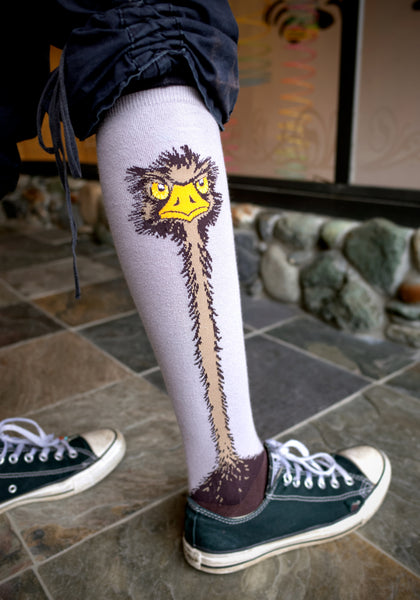 Converse shoes with funny ostrich socks for women