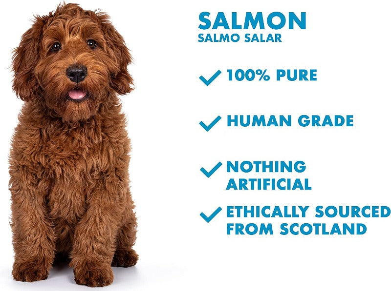 do dogs need different fish oil than human