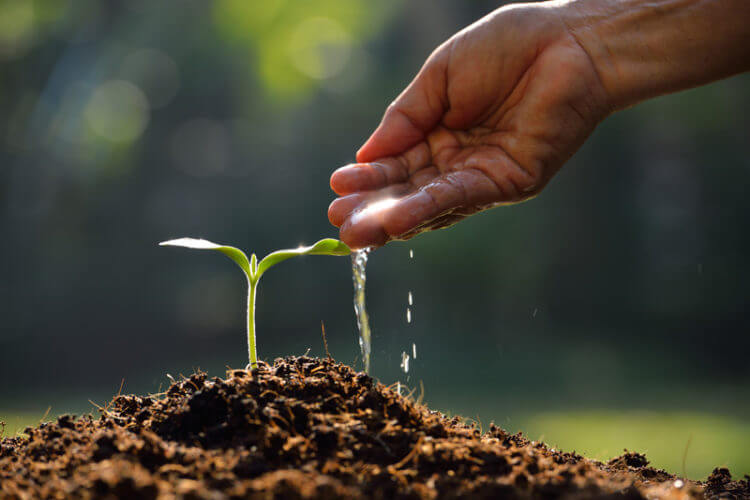 Economía circular agricultura ecologica