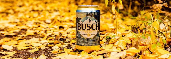 busch beer merchandise