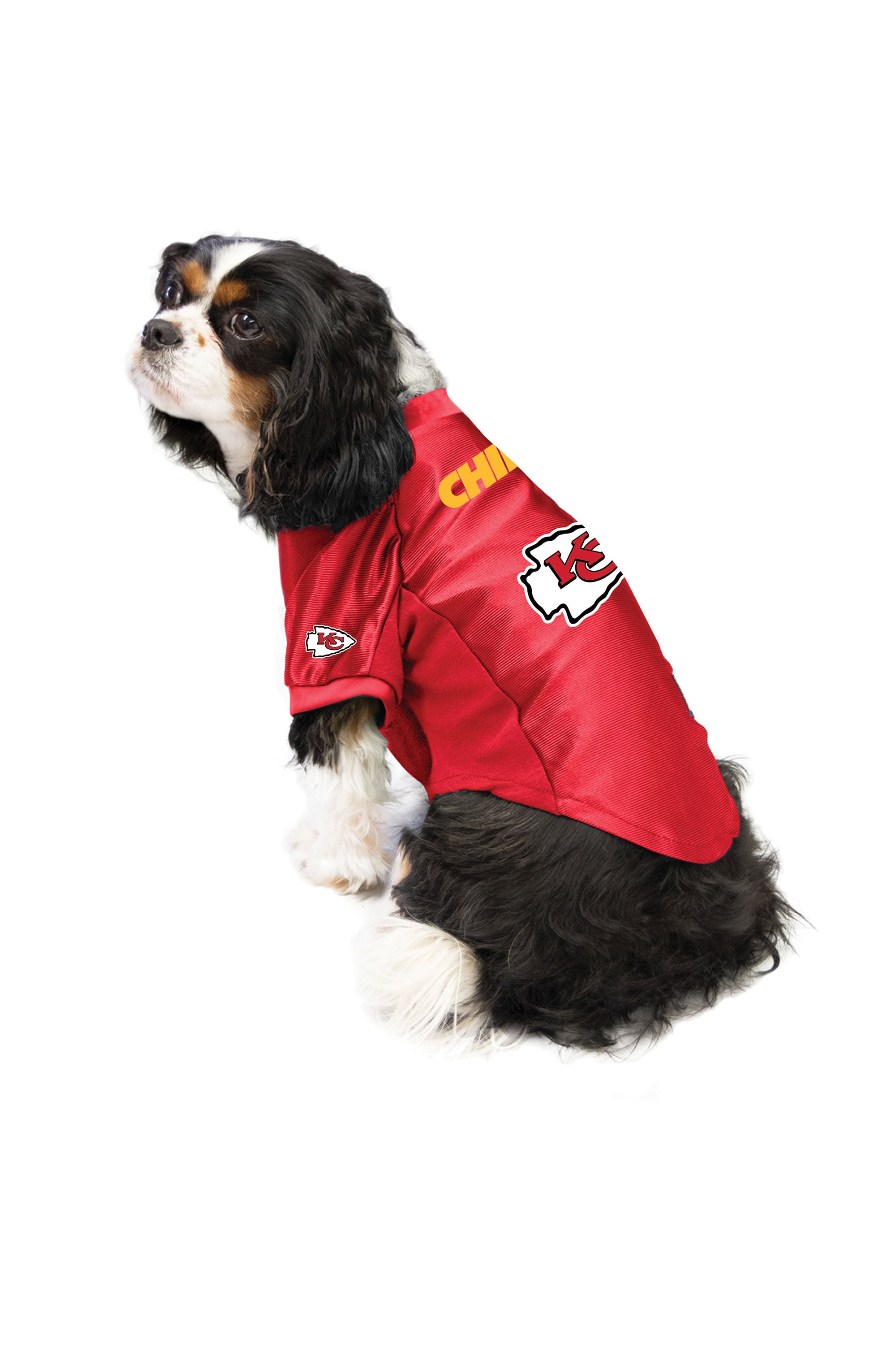 kansas city chiefs dog apparel