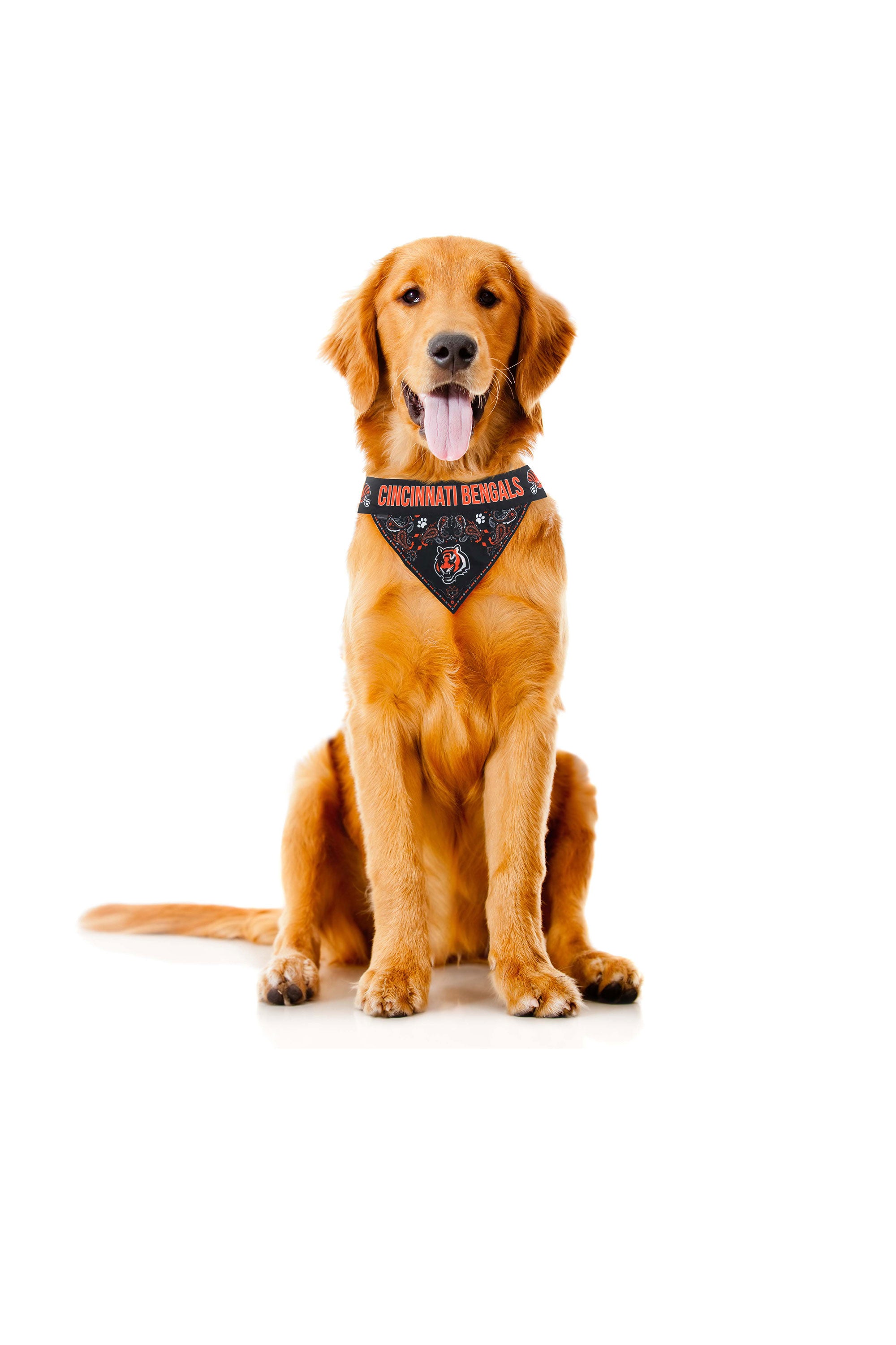 Cincinnati Bengals Pet Stretch Jersey