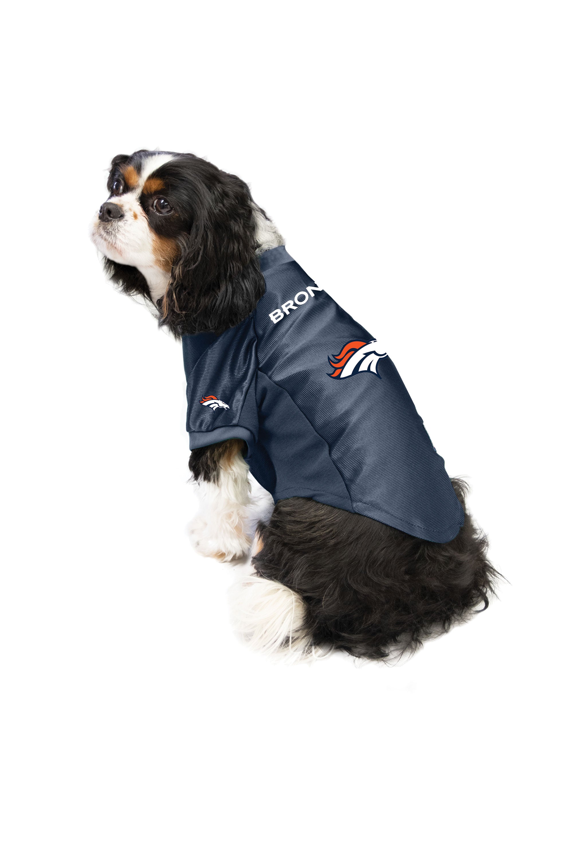 broncos jersey for dogs