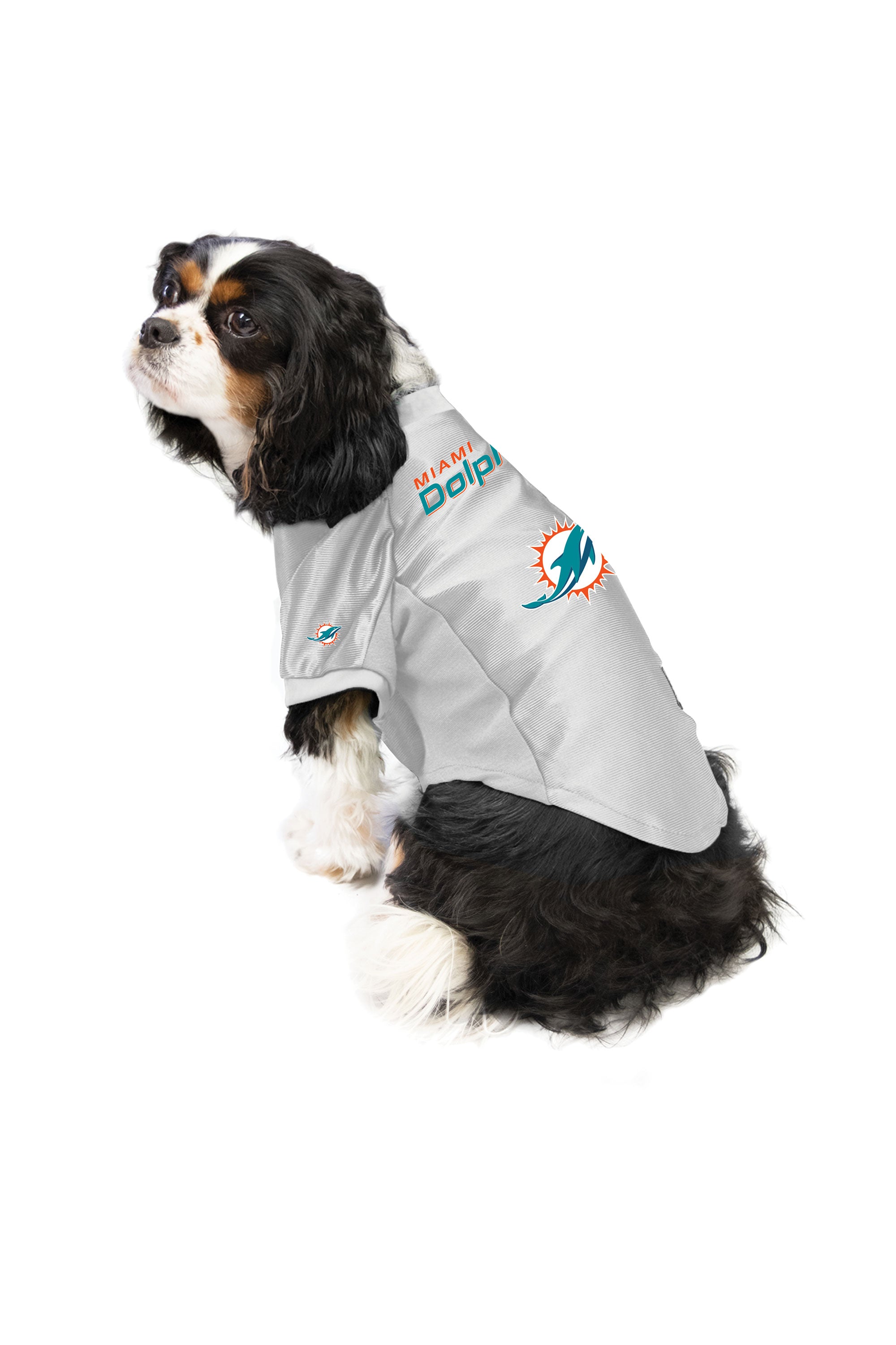 Miami Dolphins NFL Busy Block Dog Sweater