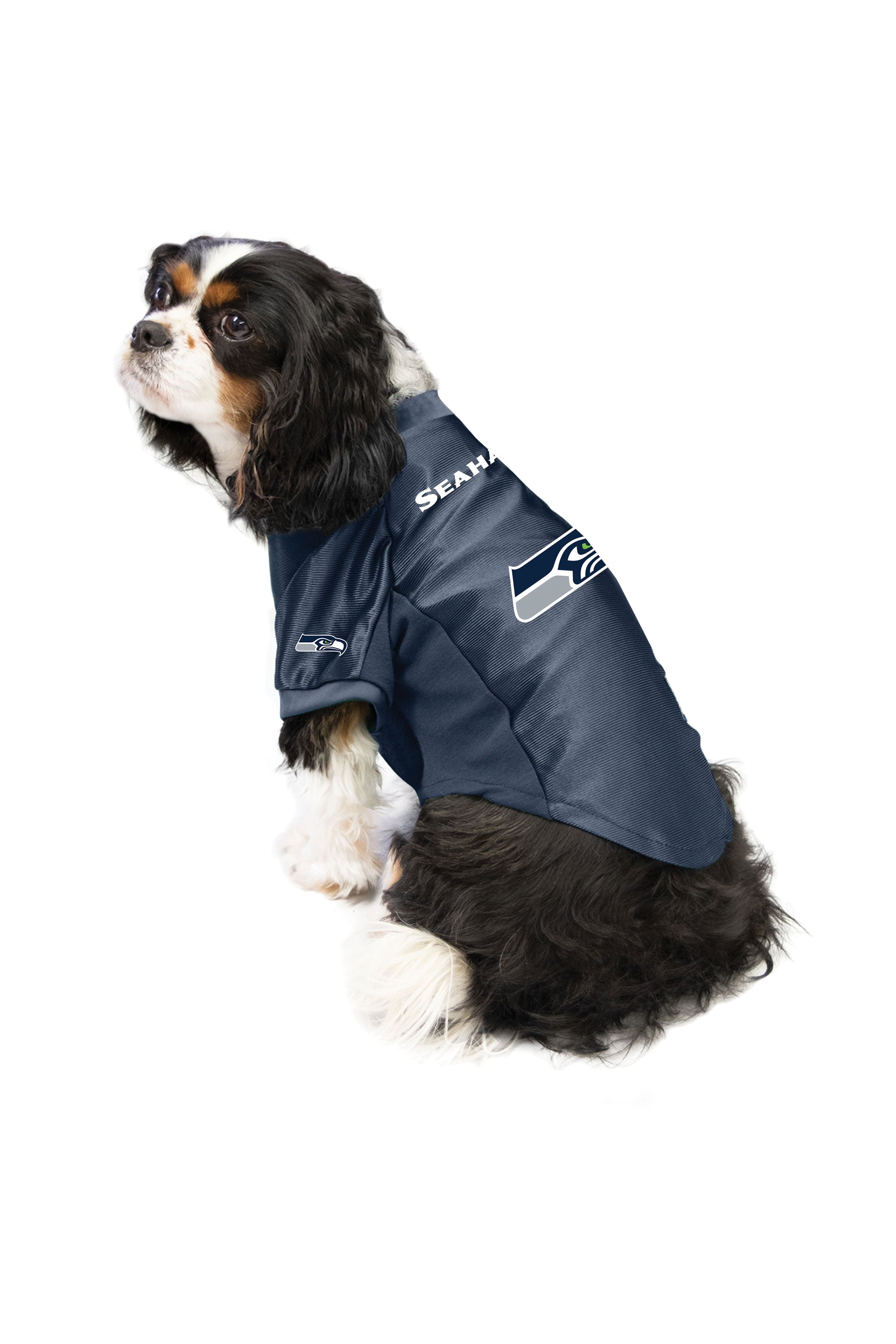 seattle seahawks dog jersey