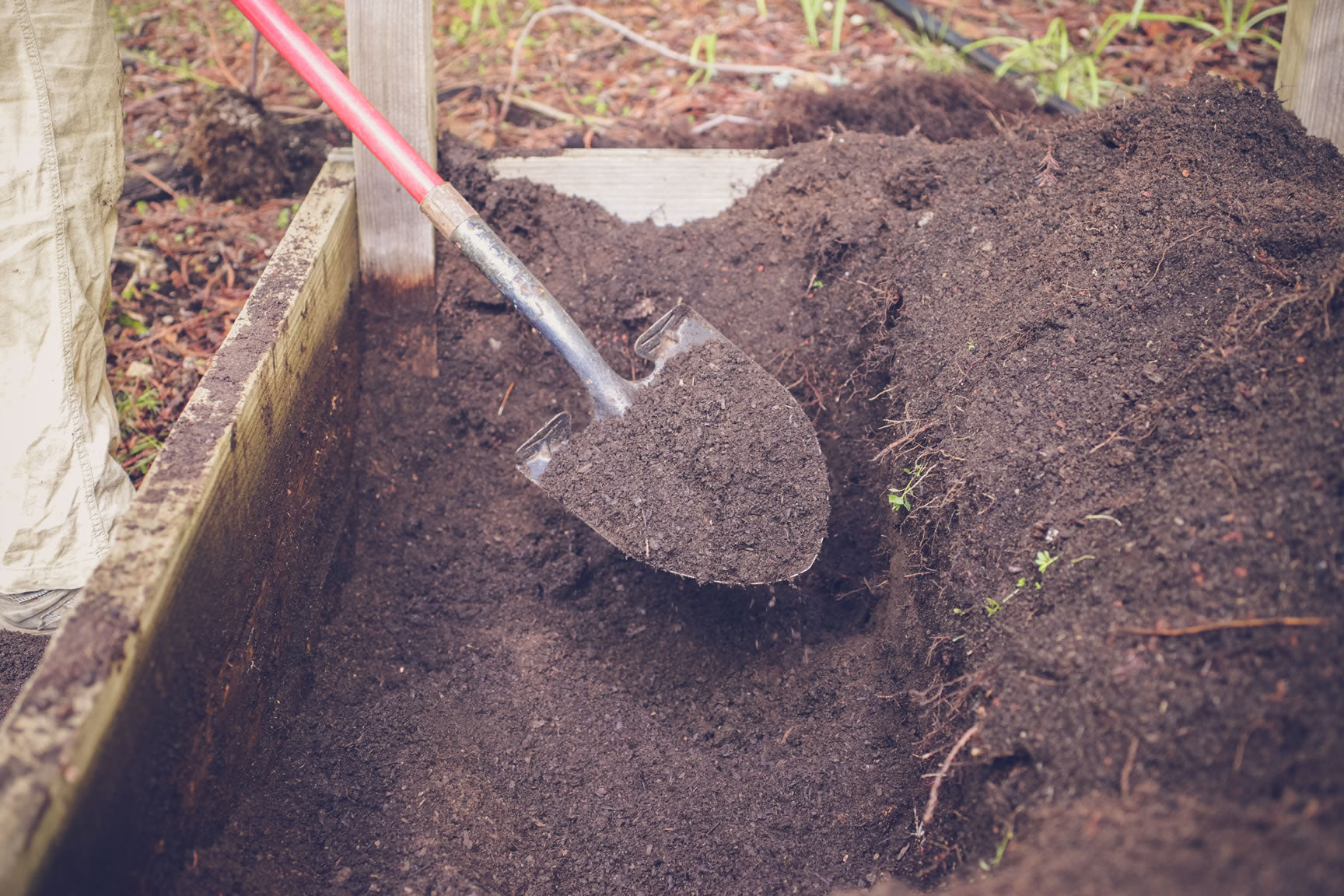 prepping your soil