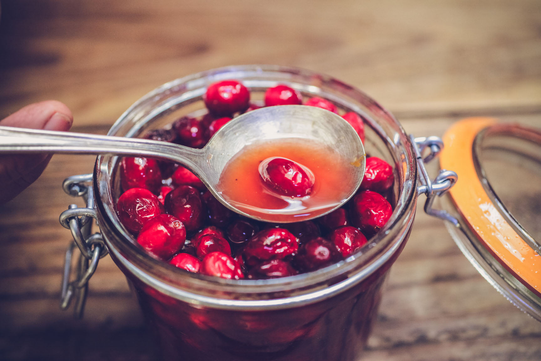 honey fermented creanberries