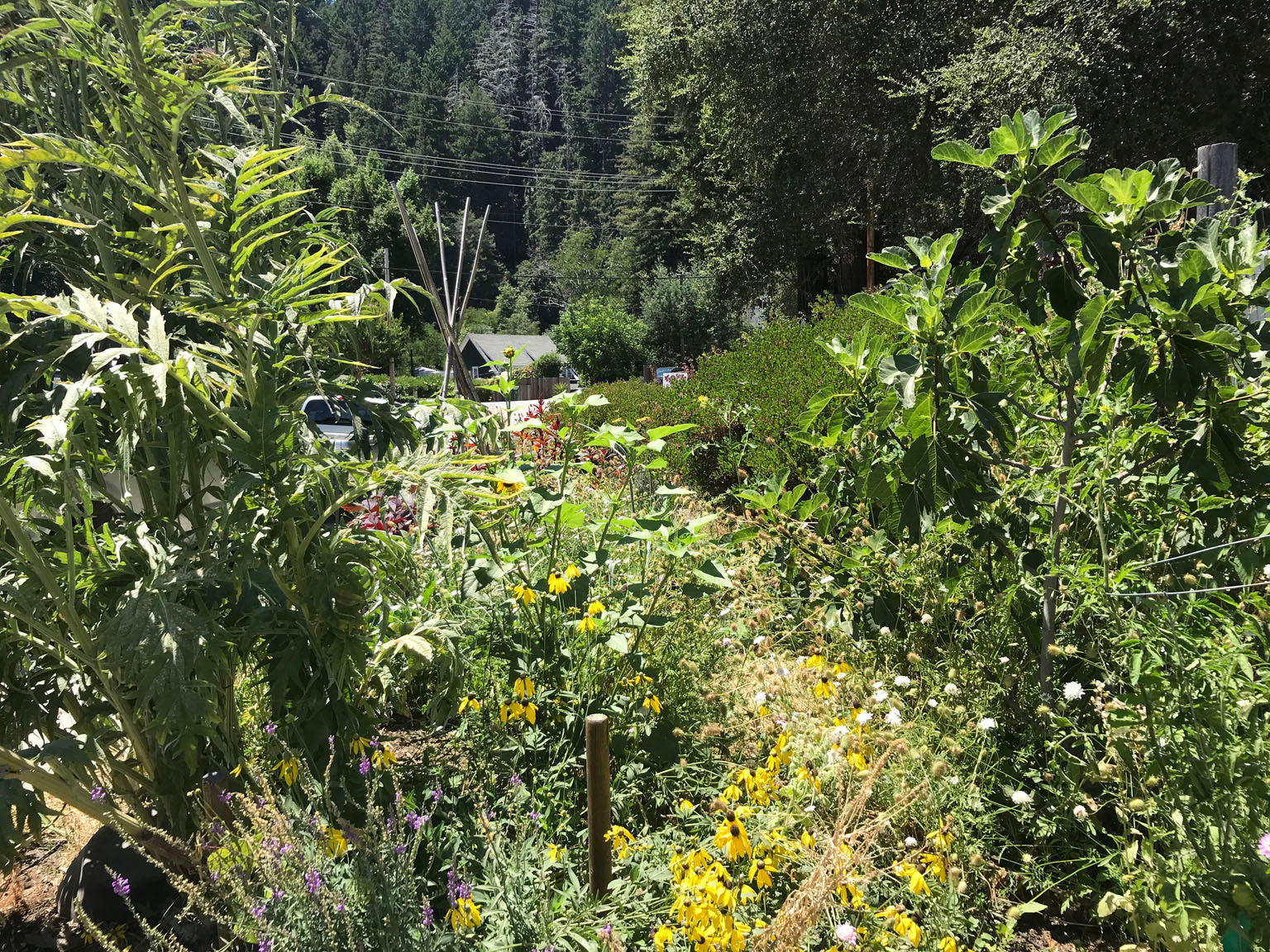 demo garden