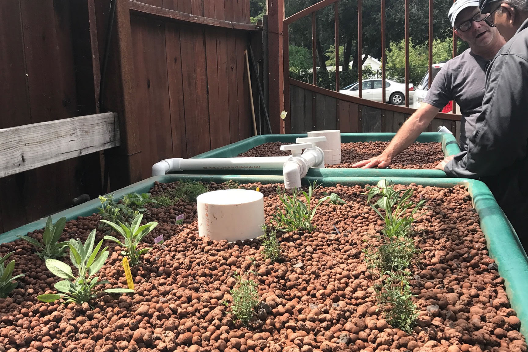 aquaponics system