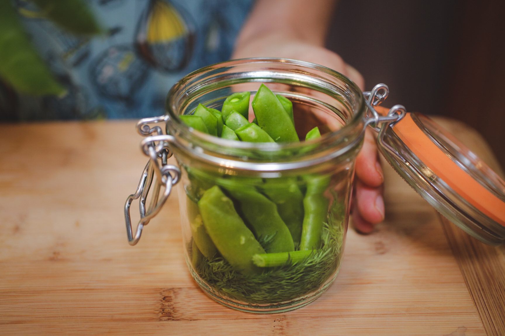 seasonal veggie refridgerator pickle recipe