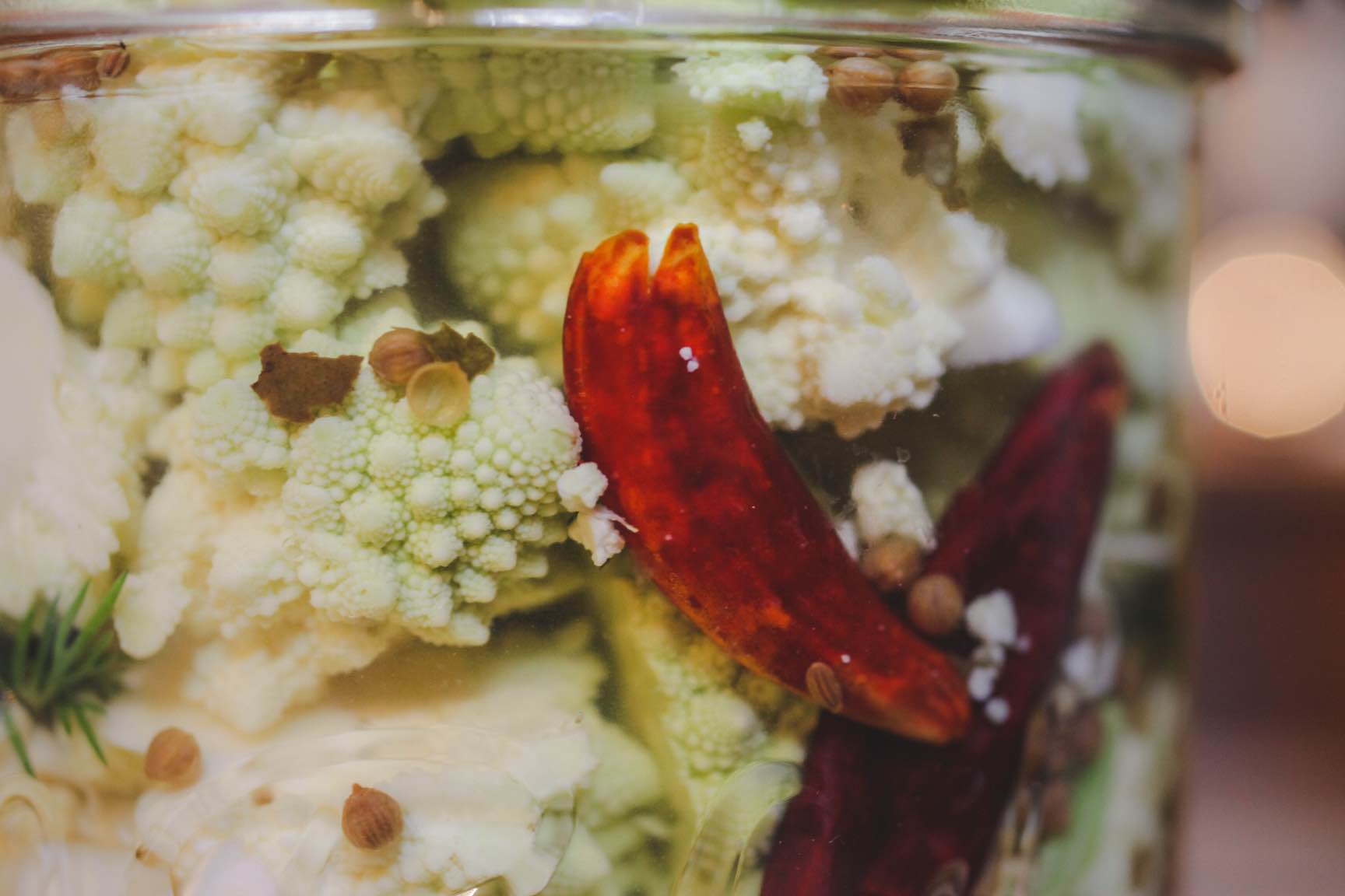 seasonal veggie refridgerator pickle recipe