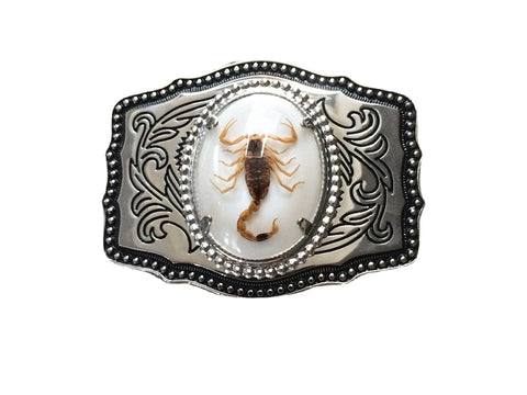 Western Gold Scorpion White Belt Buckle Cowboy Superb Details 