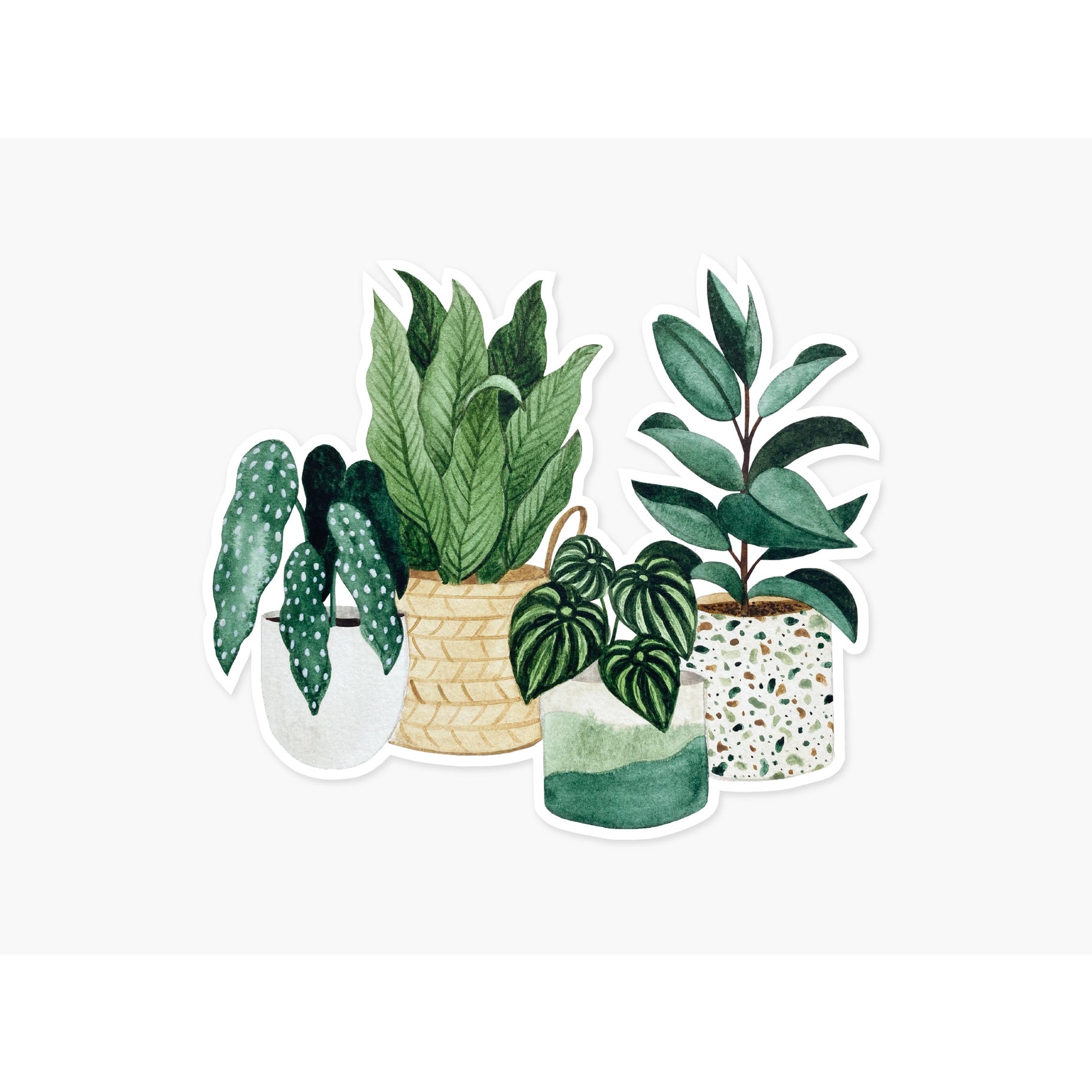 Potted Plants Clear | Sticker | Paper Anchor Co.