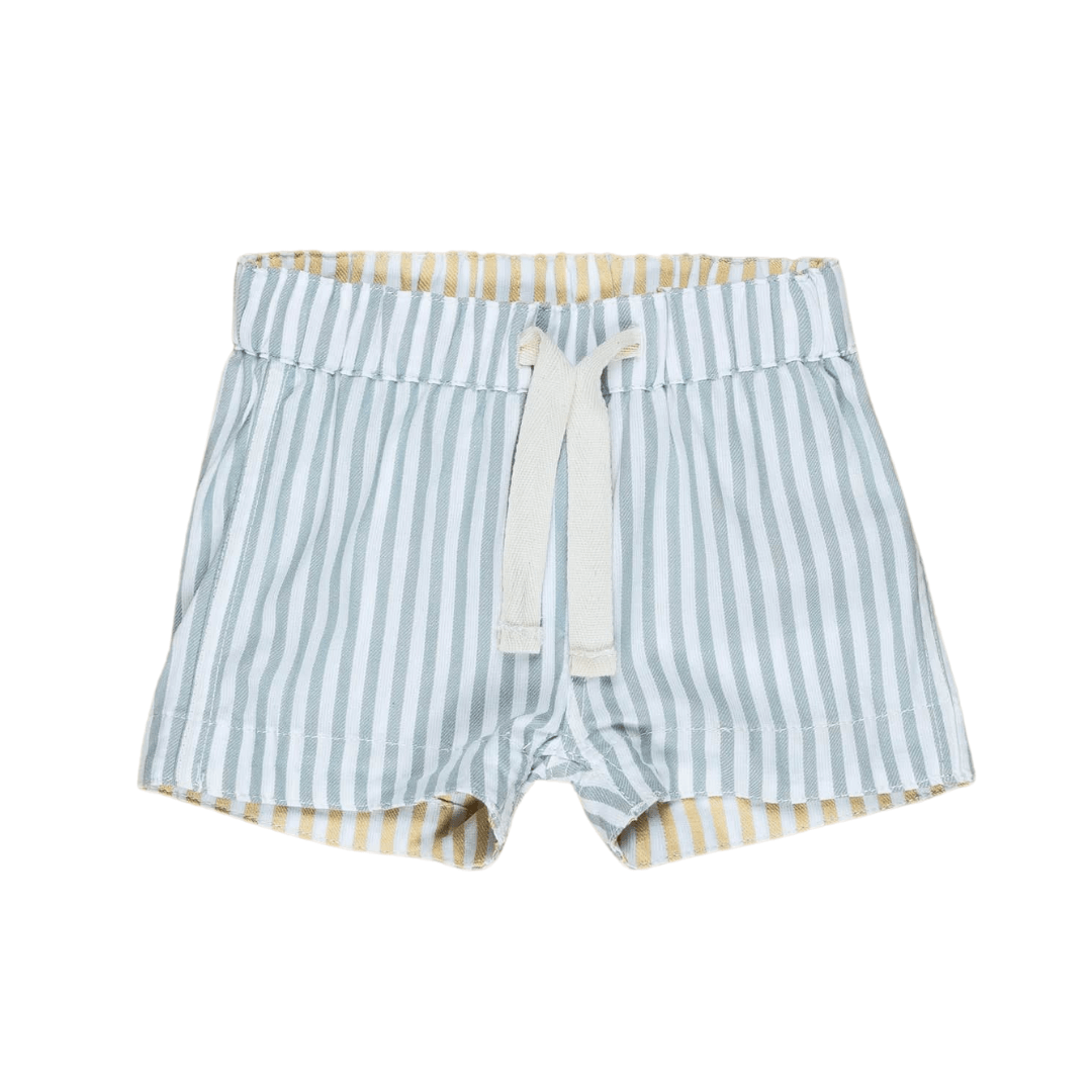 Reversible Chino Shorts Summer Stripe