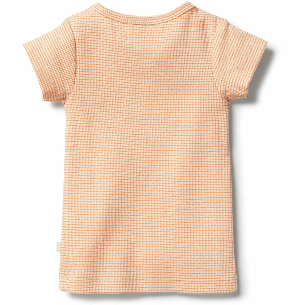 Organic Stripe Rib Tee Marigold