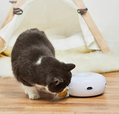 smart cat toy homerun cat toy